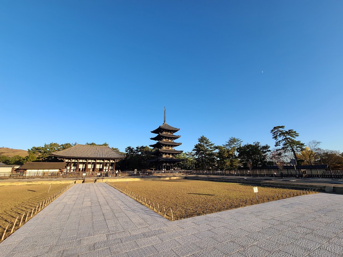 奈良公園 實景照片 8
