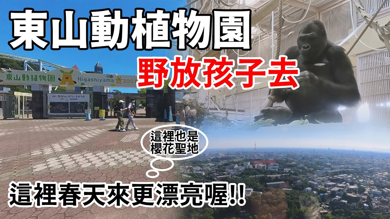 野放孩子去-2023暑假日本自由行ep9-東山動物園、東山天空塔 #名古屋自由行 #名古屋 #insta360x3 #旅行vlog #名古屋攻略 #日本自由行 #東山天空塔 #東山動植物