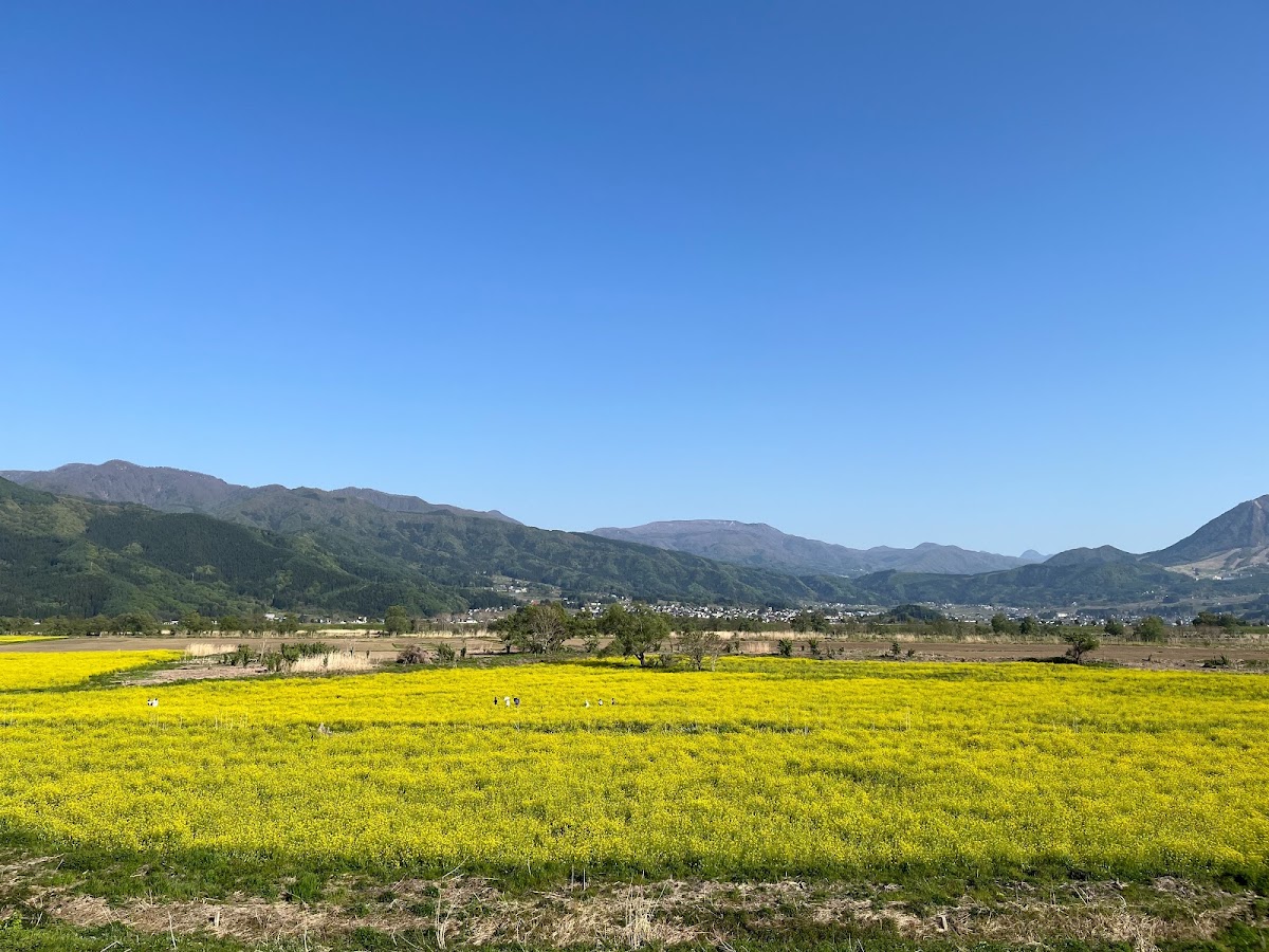 道之驛 花之驛 千曲川(道の駅 花の駅 千曲川) 實景照片 3
