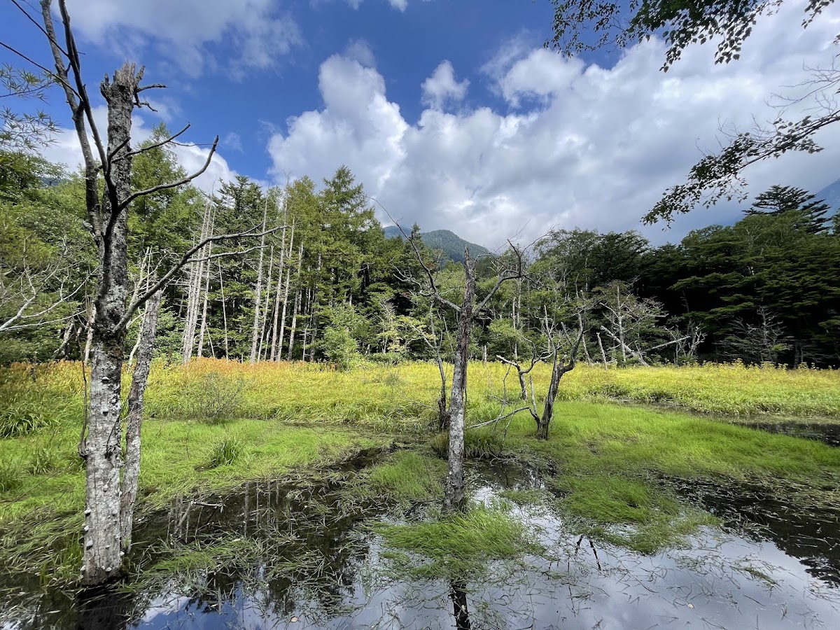 韋斯頓紀念碑(ウエストン碑) 實景照片 6