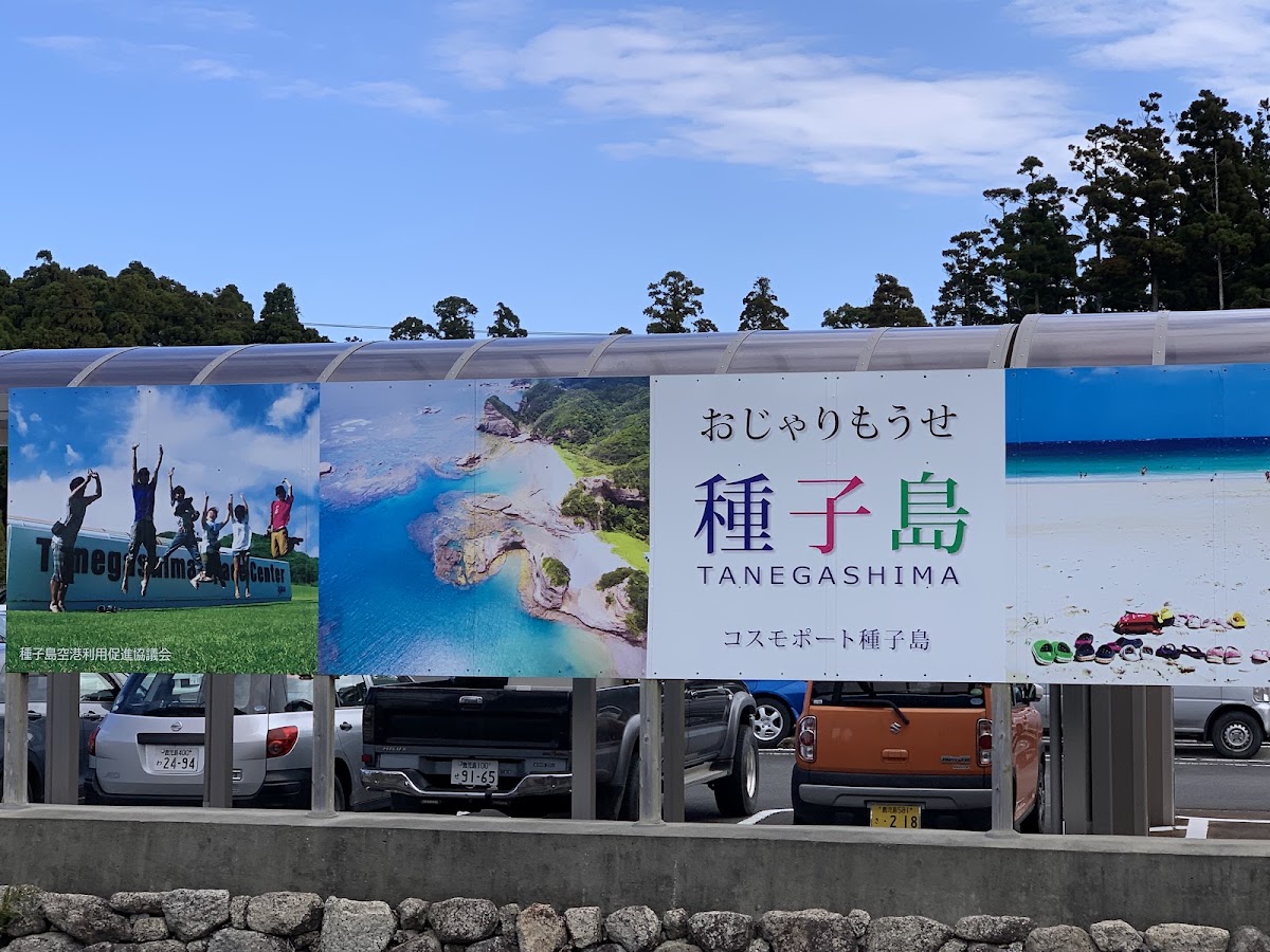 種子島機場 TNE(種子島空港) 實景照片 10