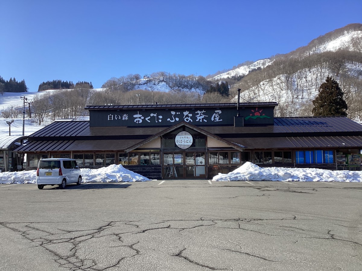 道之驛 白森小國（道の駅 白い森おぐに） 實景照片 2