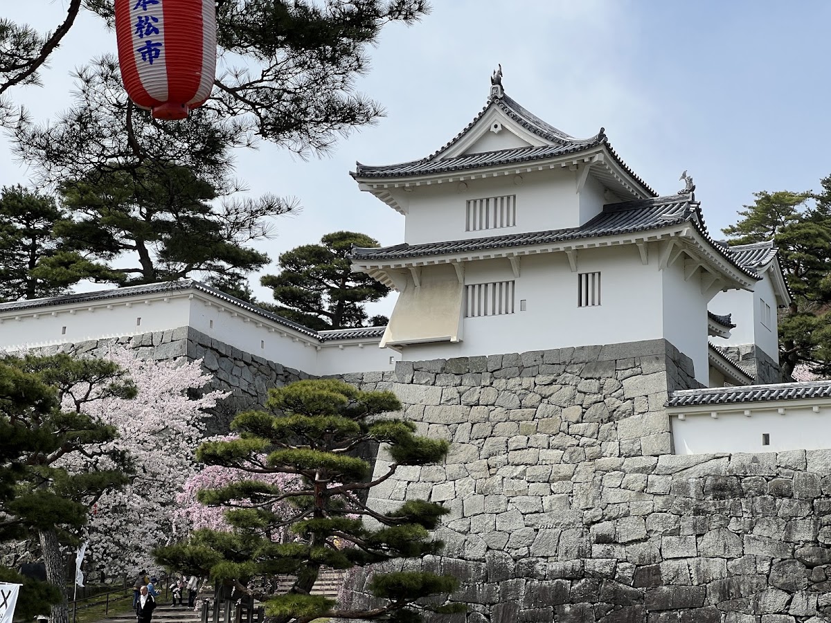 盛開櫻花與二本松城建築
