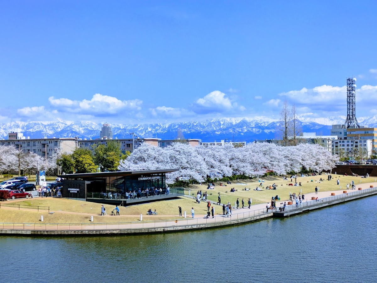 富岩運河環水公園 實景照片 10