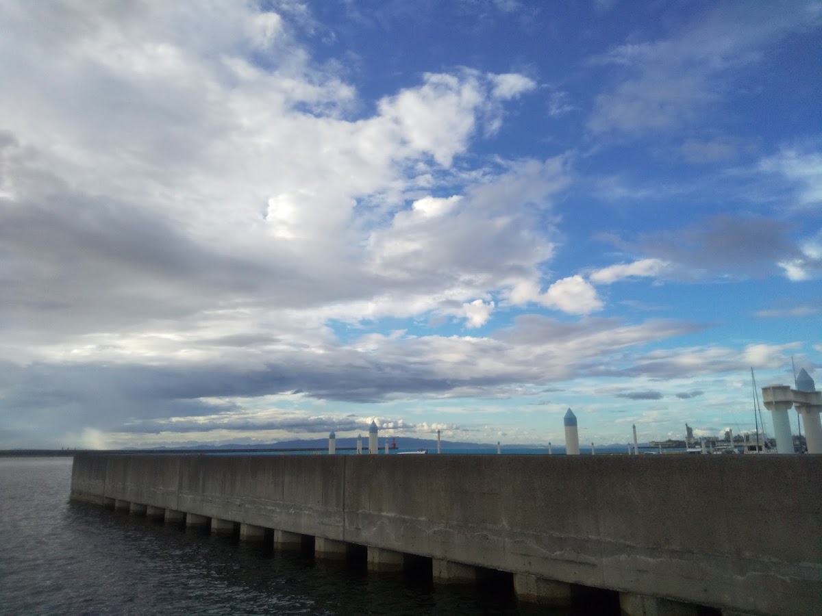 泉佐野關空瑪莉娜海之驛（いずみさの関空マリーナ 海の駅） 實景照片 7