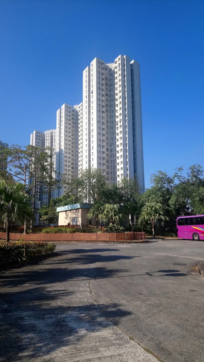 北區運動場停車場 實景照片 10