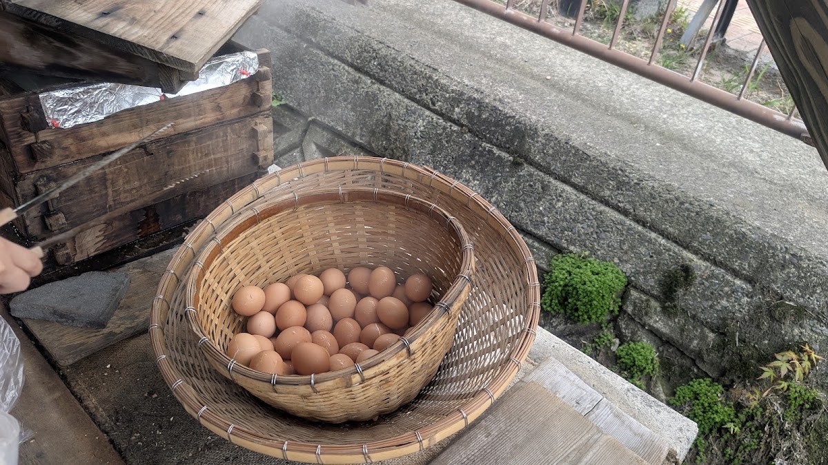 溫泉蒸氣加熱的雞蛋竹籃特寫