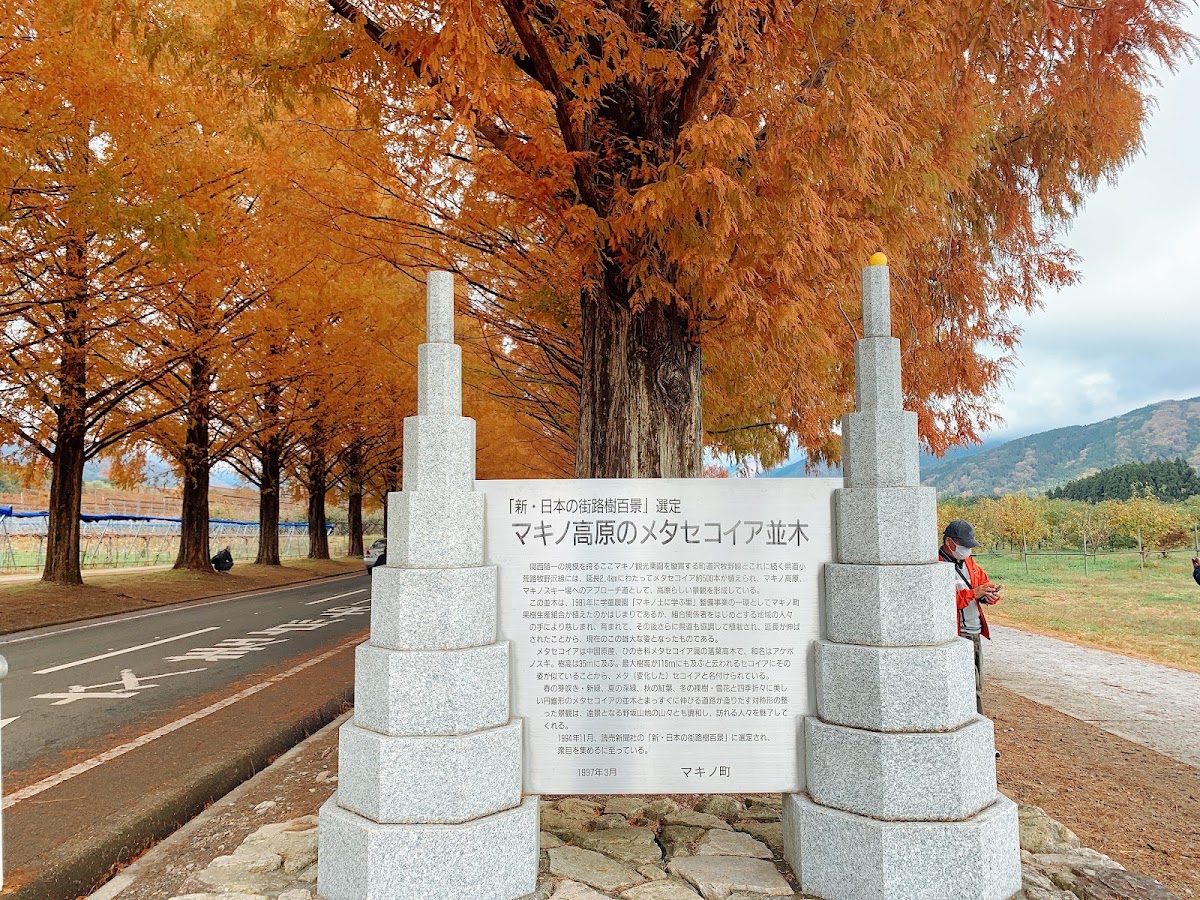 農業公園牧野Pic-land（農業公園マキノピックランド） 實景照片 4