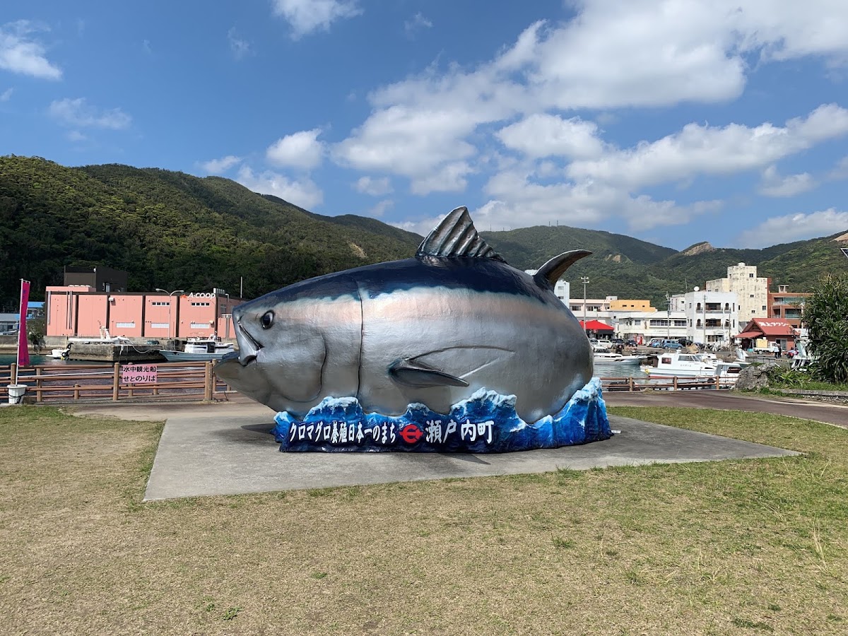 瀨戶內海之驛（せとうち海の駅） 實景照片 1
