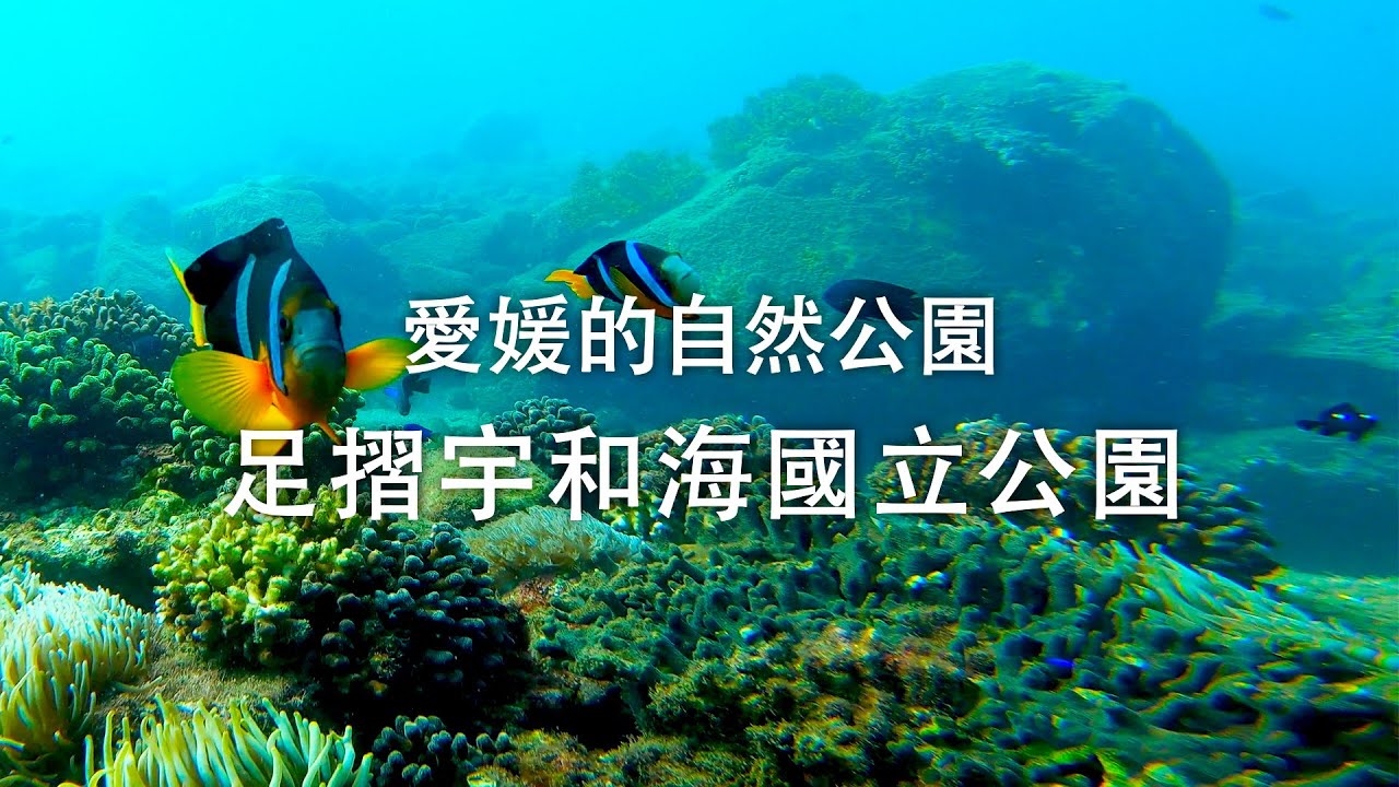 愛媛的自然公園　足摺宇和海國立公園　Middle Ver.