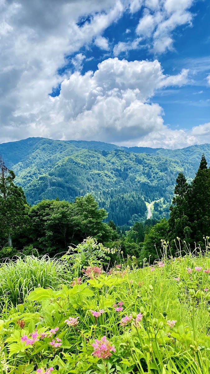 綠意山景與粉紅花卉