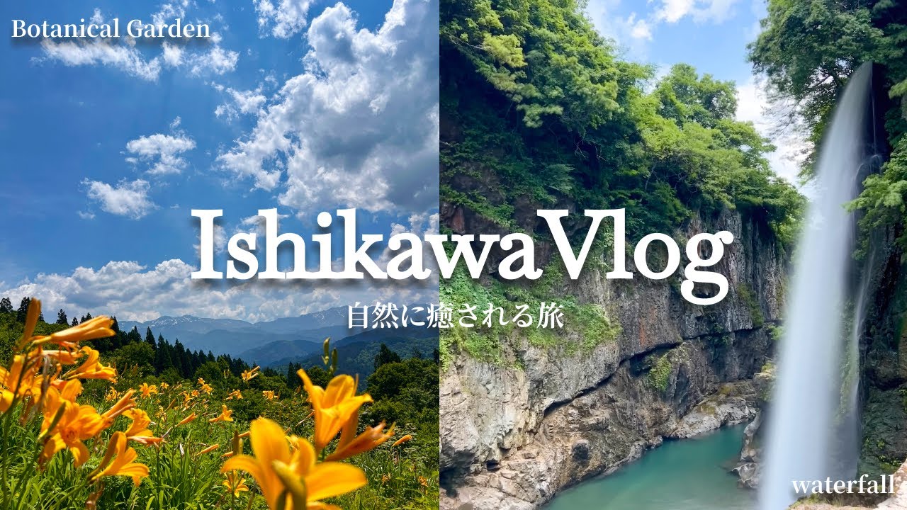 【石川Vlog】  暑い夏を吹き飛ばす! 白山高山植物園と綿ヶ滝の自然で心も体も癒される1日