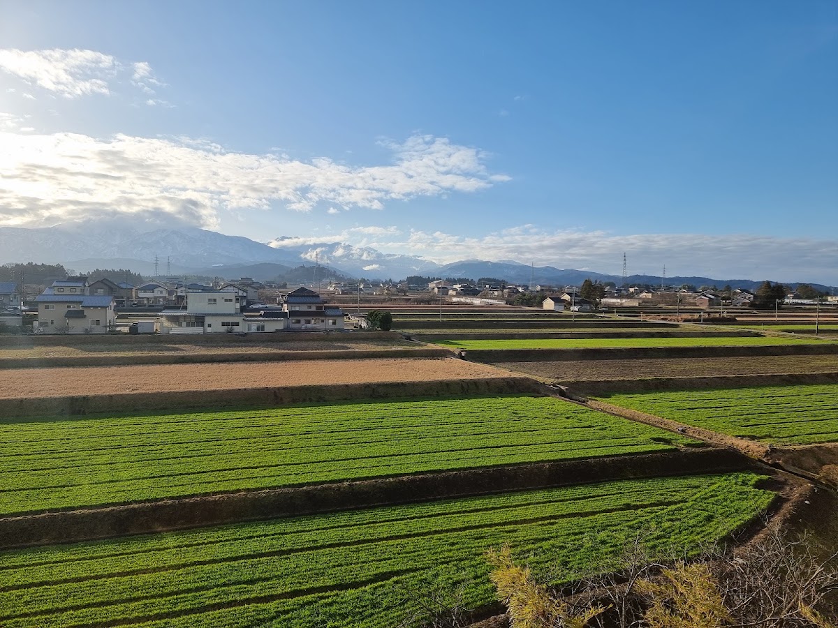綠油油的農田與遠山