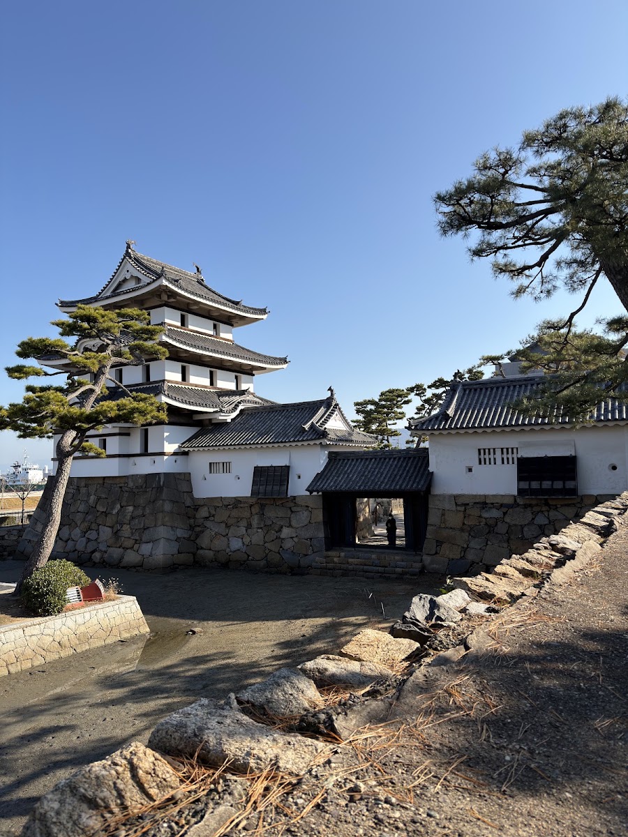 藍天下的天守閣與古松