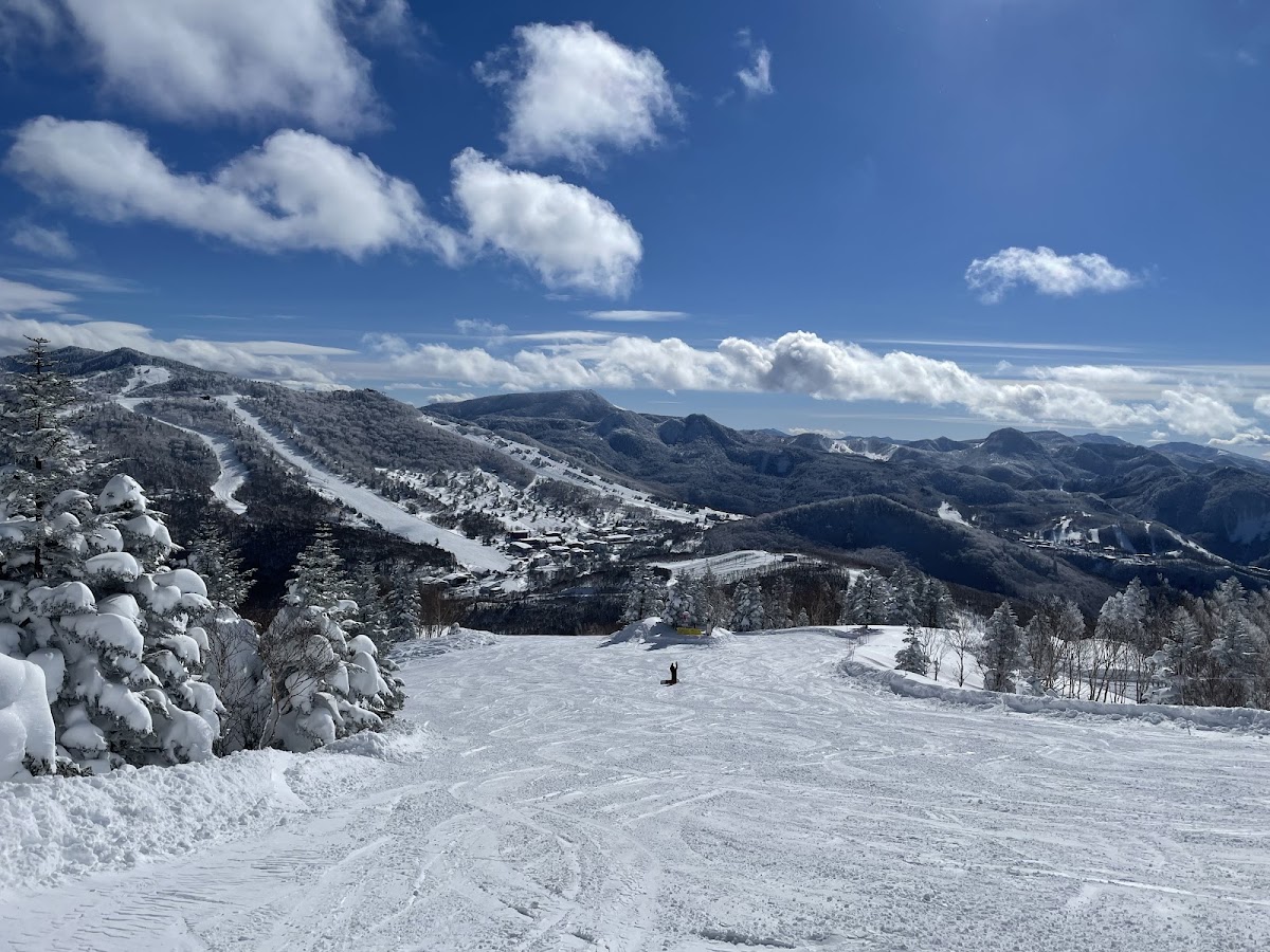 志賀高原燒額山滑雪場（志賀高原 焼額山スキー場） 實景照片 6
