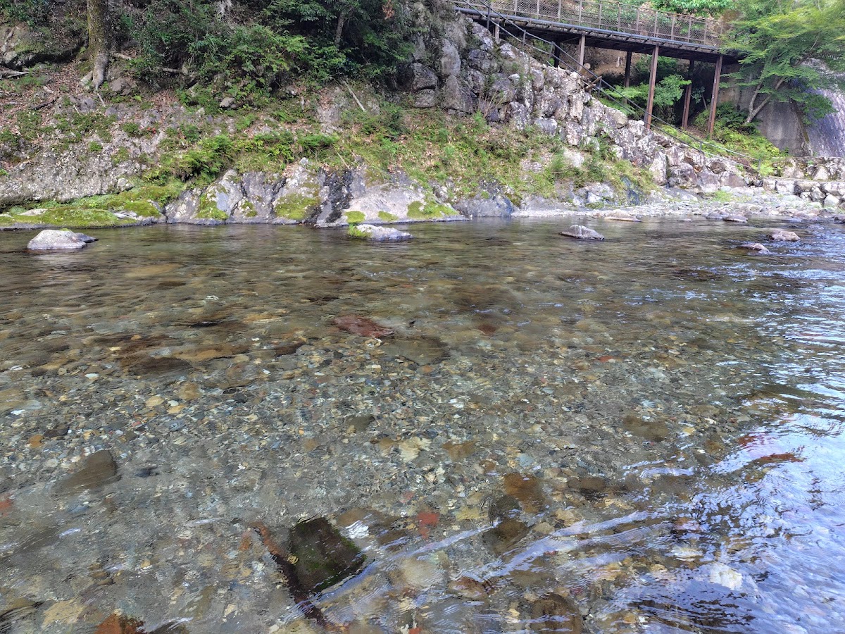 道之驛 吉野路上北山（道の駅 吉野路 上北山） 實景照片 8