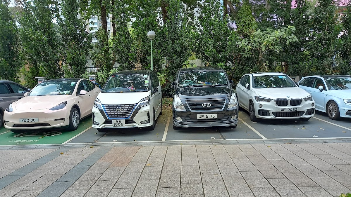 和興體育館停車場 實景照片 6