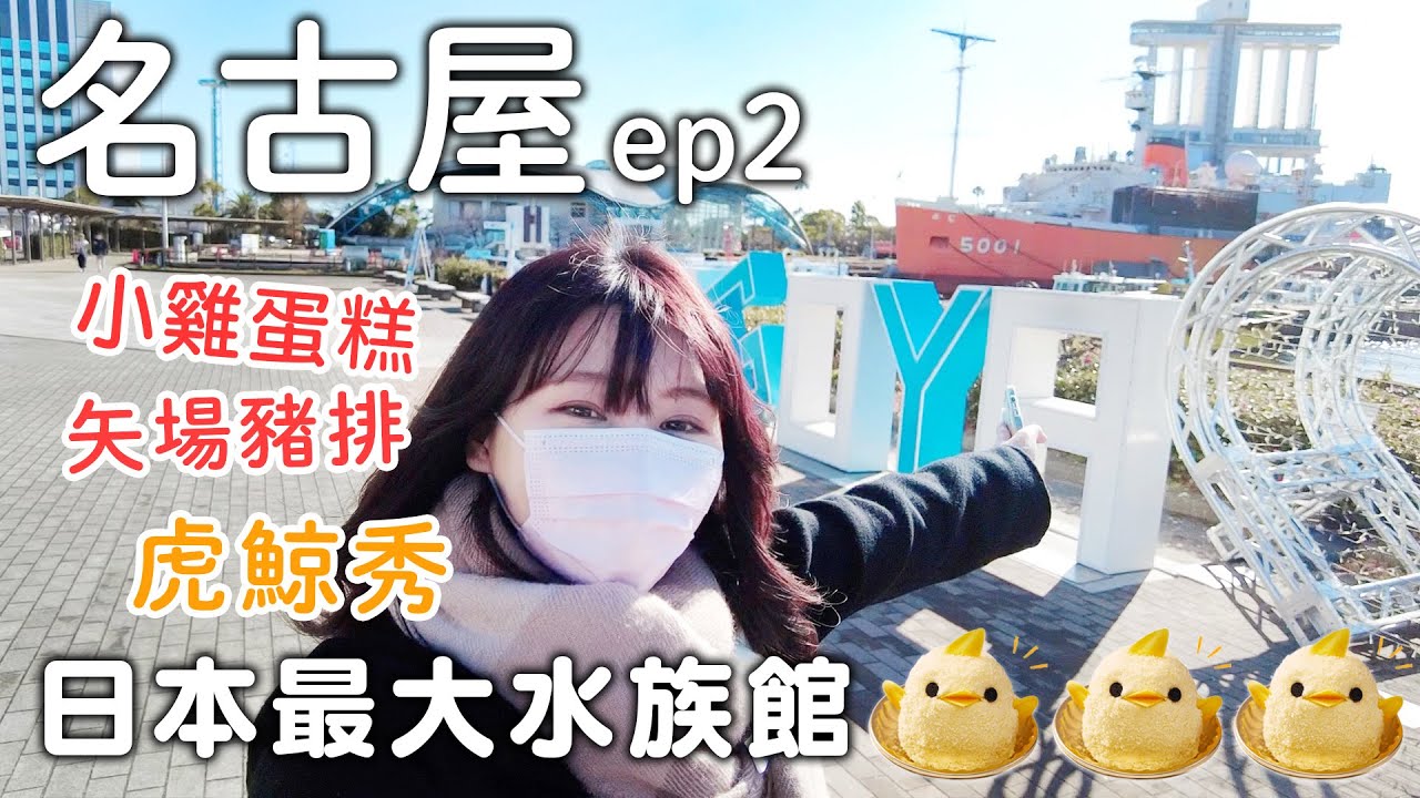 名古屋自由行|日本最大水族館|必吃小雞蛋糕|矢場豬排|sugakiya壽賀喜屋拉麵童年回憶|日本旅遊vlog。生活日常。一人自由行景點美食推薦