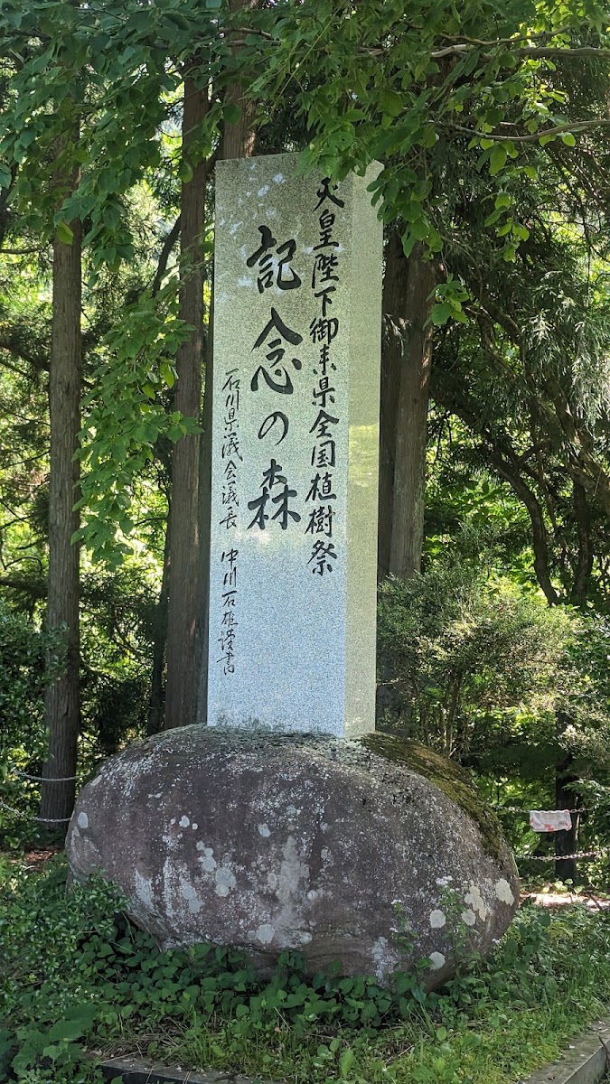 手取峽谷(手取峡谷) 實景照片 6