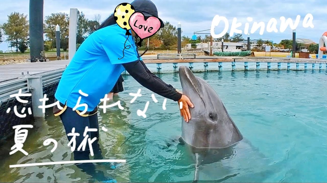 激推！近距離與海豚共舞 / 沖繩元氣村
