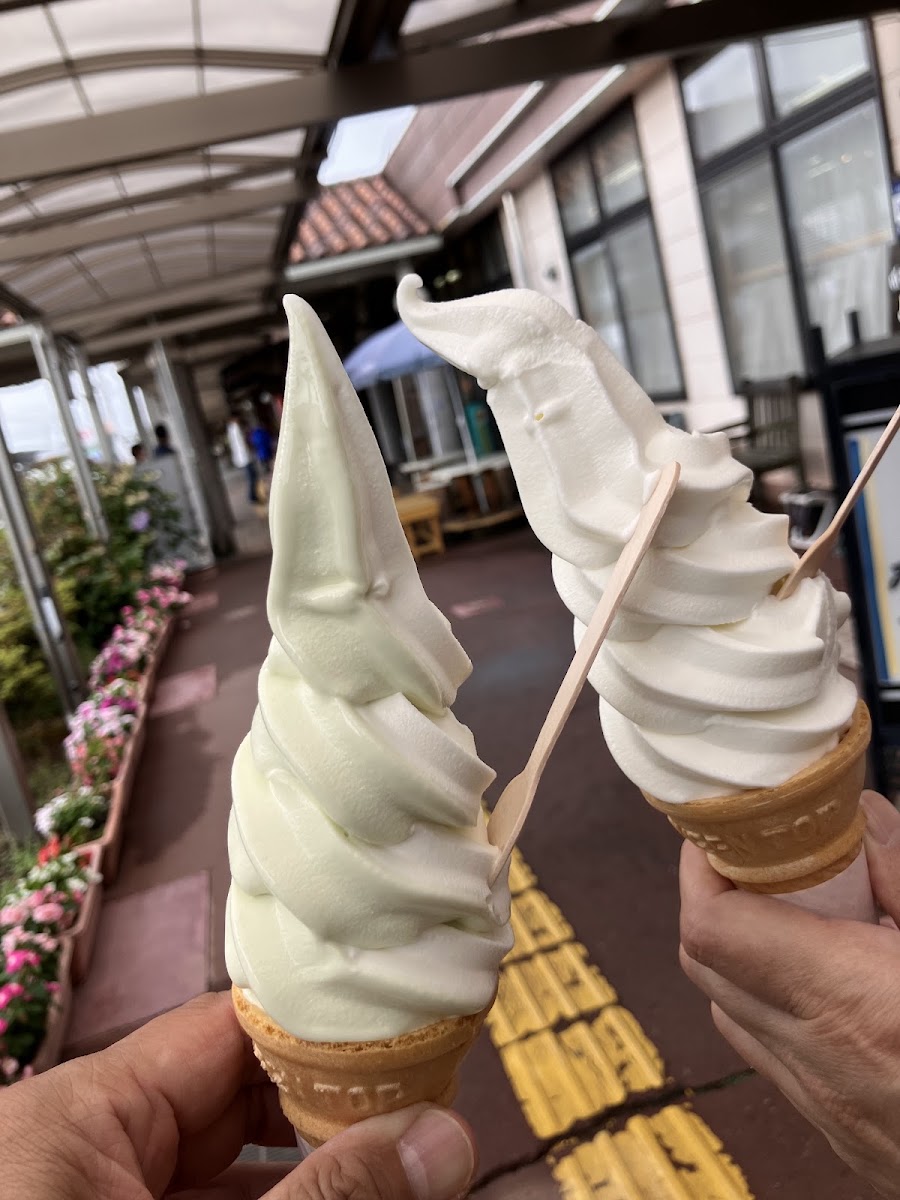 道之驛 花之里飯島(道の駅 花の里いいじま) 實景照片 5