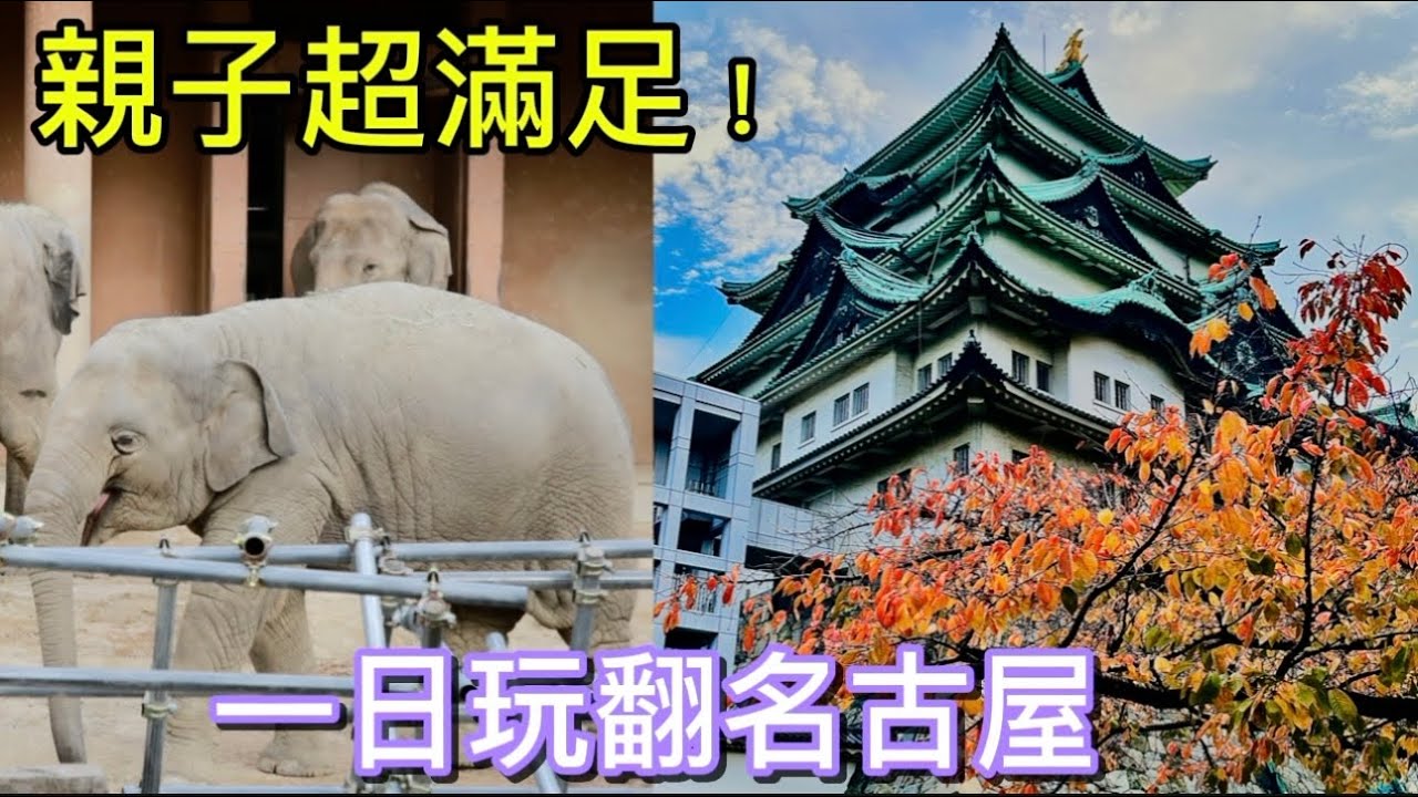 【名古屋】名古屋超划算景點!東山動植物園:小孩免費玩一天!加碼大須商店街 100 日圓挖寶