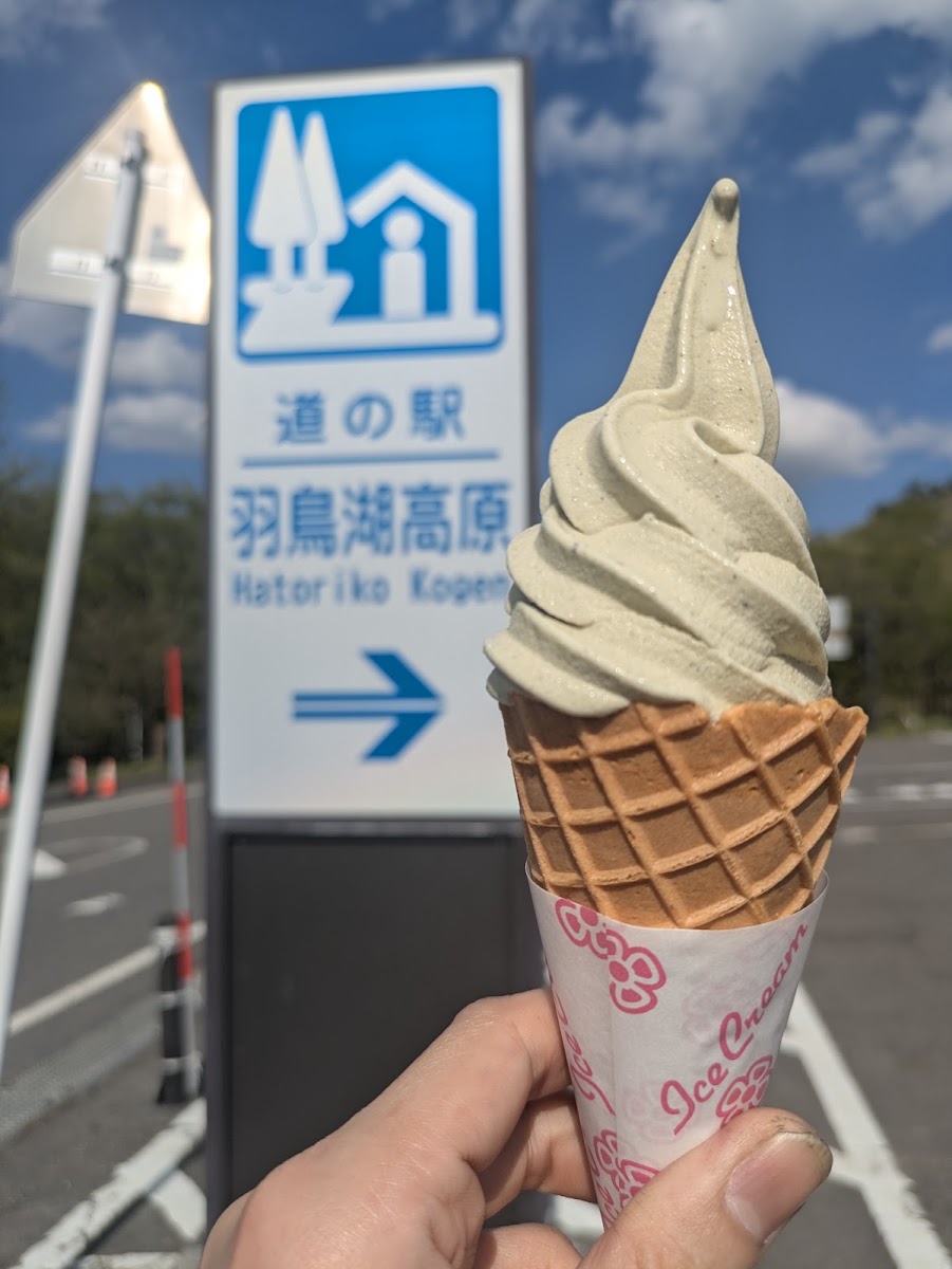 道之驛 羽鳥湖高原(道の駅 羽鳥湖高原) 實景照片 8