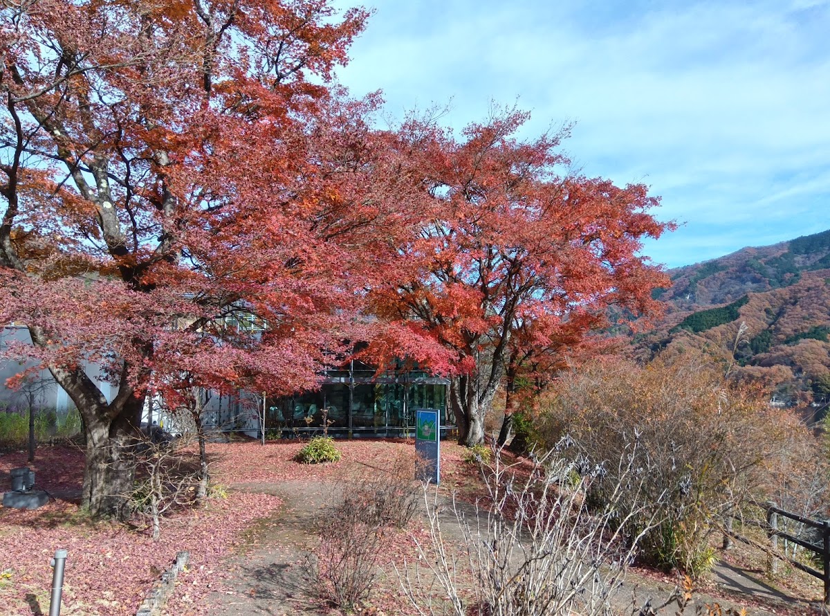 道之驛 富弘美術館（道の駅 富弘美術館） 實景照片 6