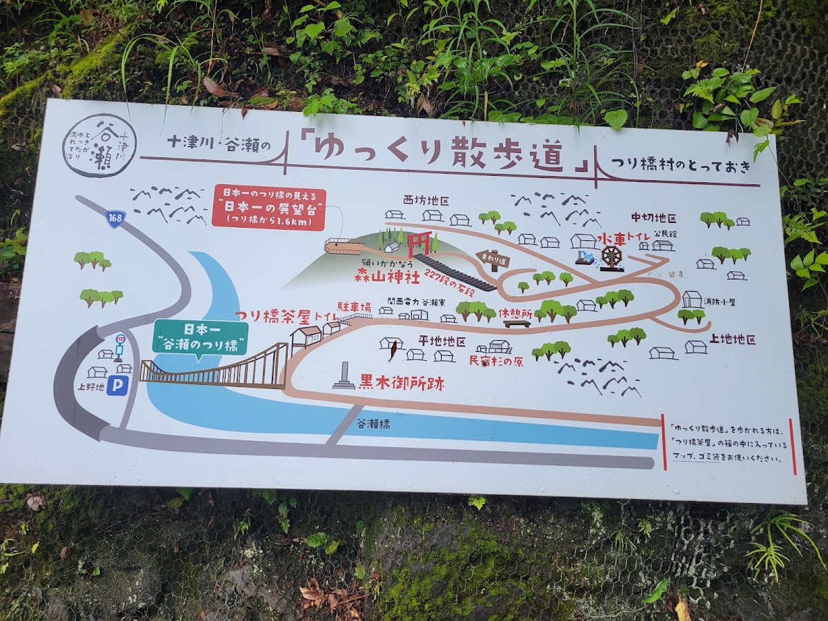 谷瀨吊橋(谷瀬の吊り橋) 實景照片 5