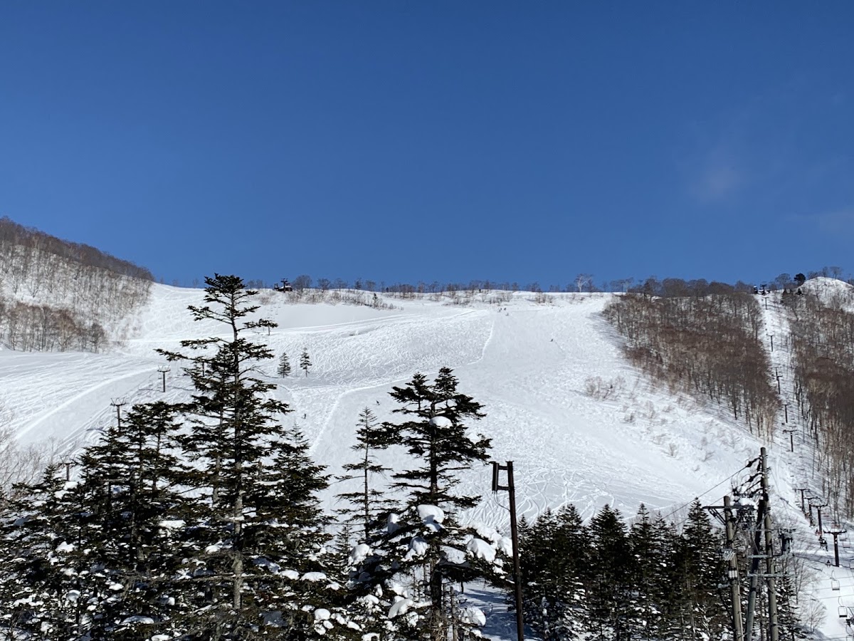 栂池高原滑雪場（栂池高原スキー場） 實景照片 10
