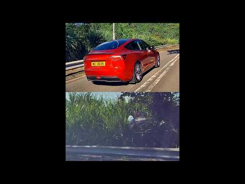 車CAM直擊 - 停線唔識停 魚眼鏡又唔識用 遲早一鑊