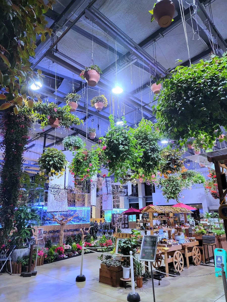 星巴克咖啡 讀賣樂園HANA・BIYORI店(スターバックス コーヒー よみうりランドHANA・BIYORI店) 實景照片 4