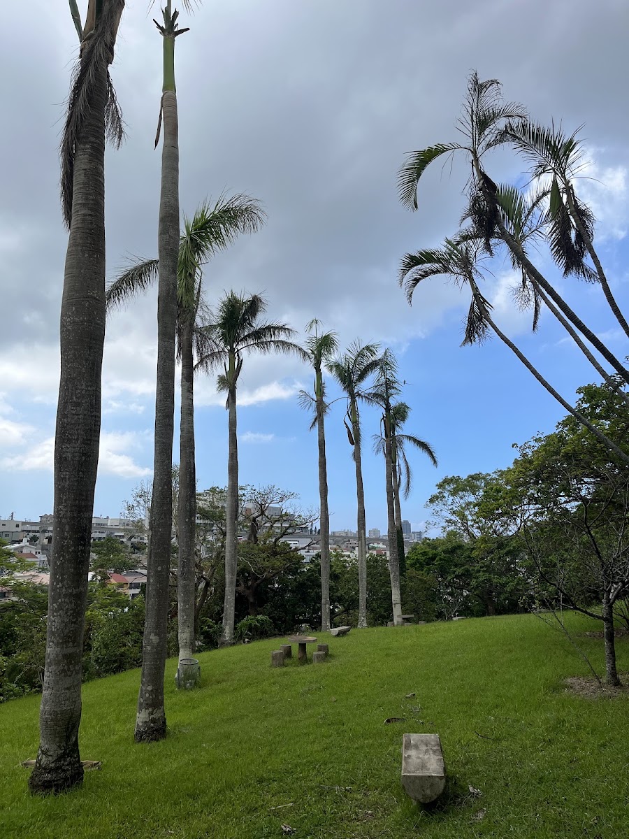 末吉公園 實景照片 9
