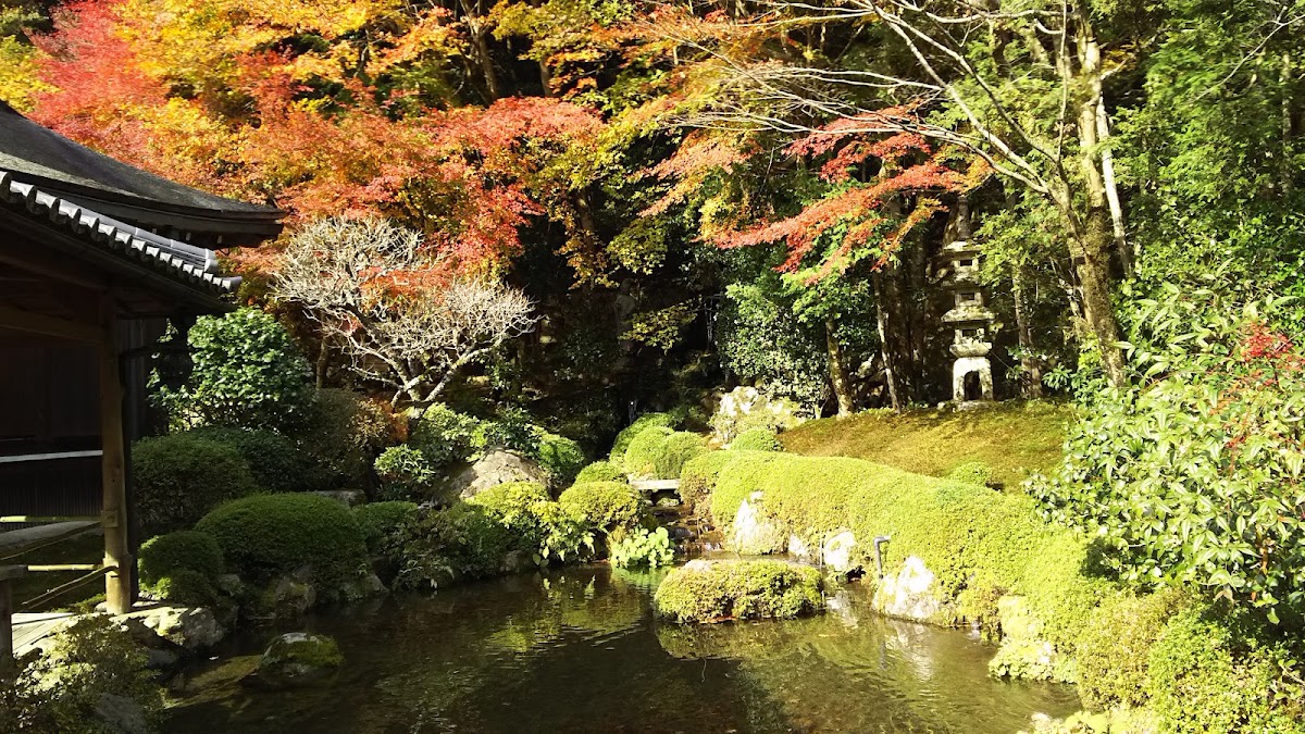 寺院水池與綠意庭園景緻