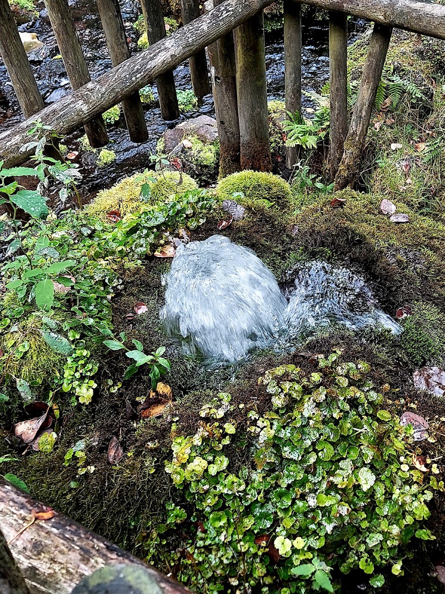 道之驛 名水之鄉京極（道の駅 名水の郷きょうごく） 實景照片 7