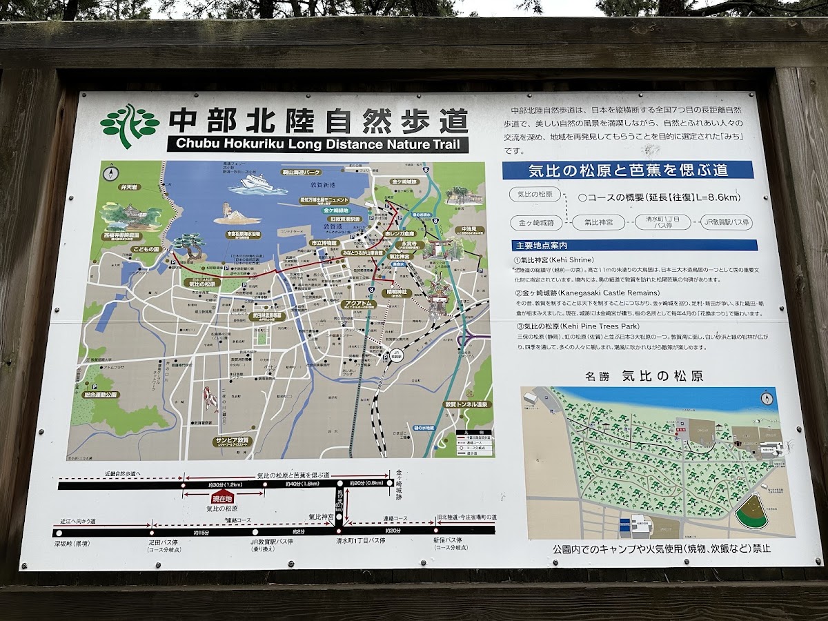 氣比松原（気比の松原） 實景照片 7