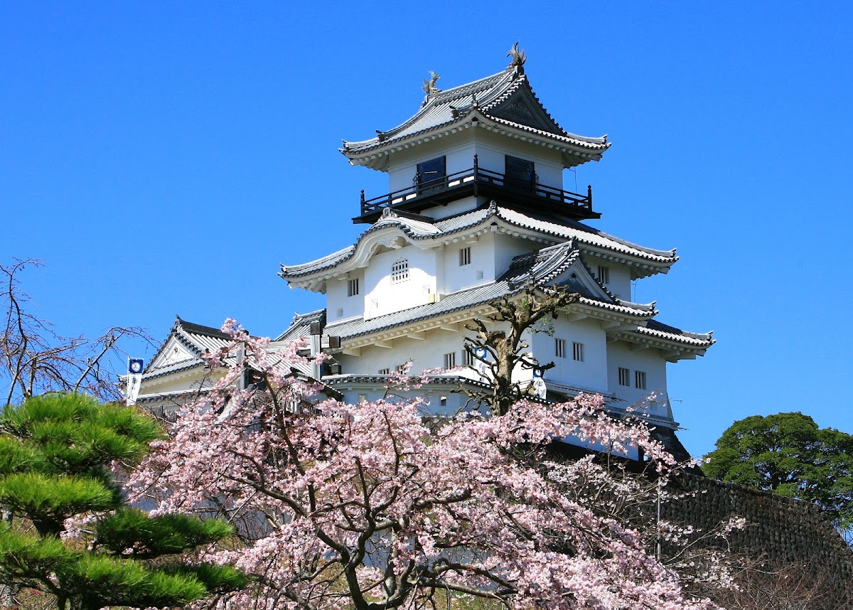 掛川城