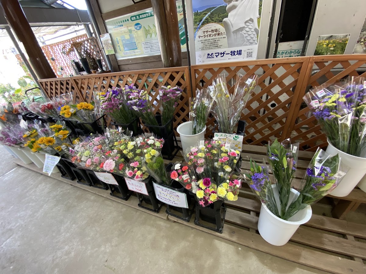 道之驛 大津之里（道の駅 おおつの里） 實景照片 8