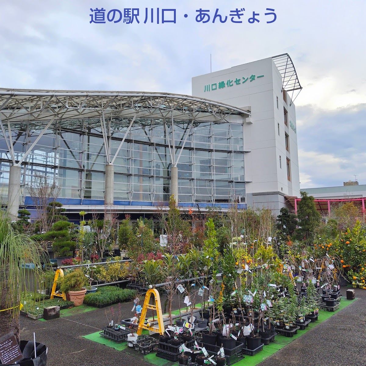 道之驛 川口・安行（道の駅 川口・あんぎょう） 實景照片 9