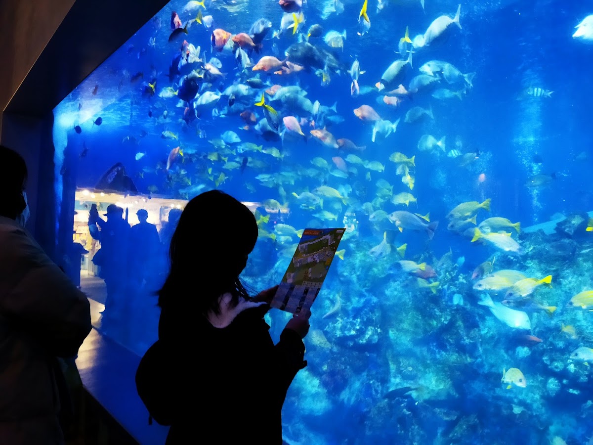 鳥羽水族館 實景照片 6