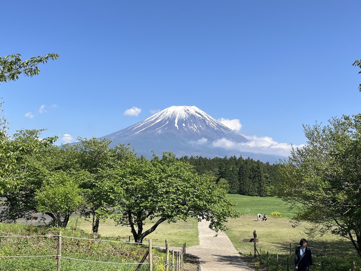 道之驛 朝霧高原（道の駅 朝霧高原） 實景照片 8