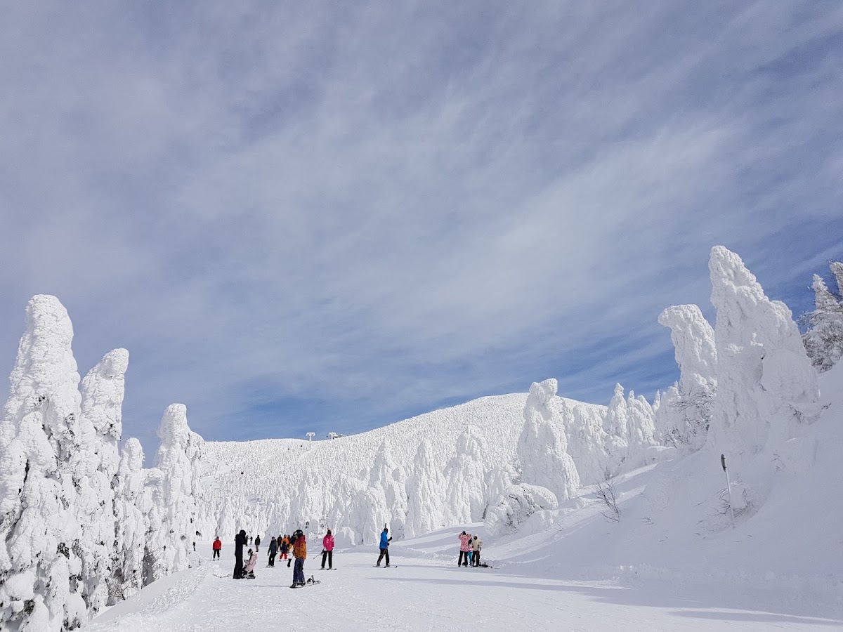 冬季藏王樹冰與滑雪遊客