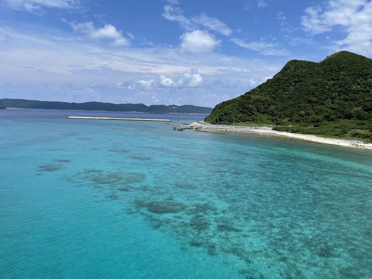 阿嘉島 實景照片 5