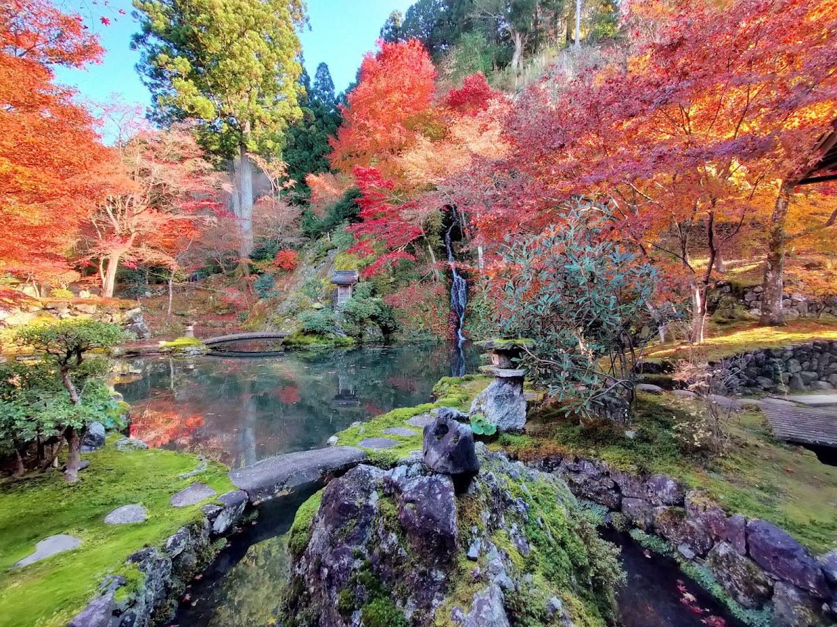 秋季紅葉環繞的庭園池塘與小瀑布美景