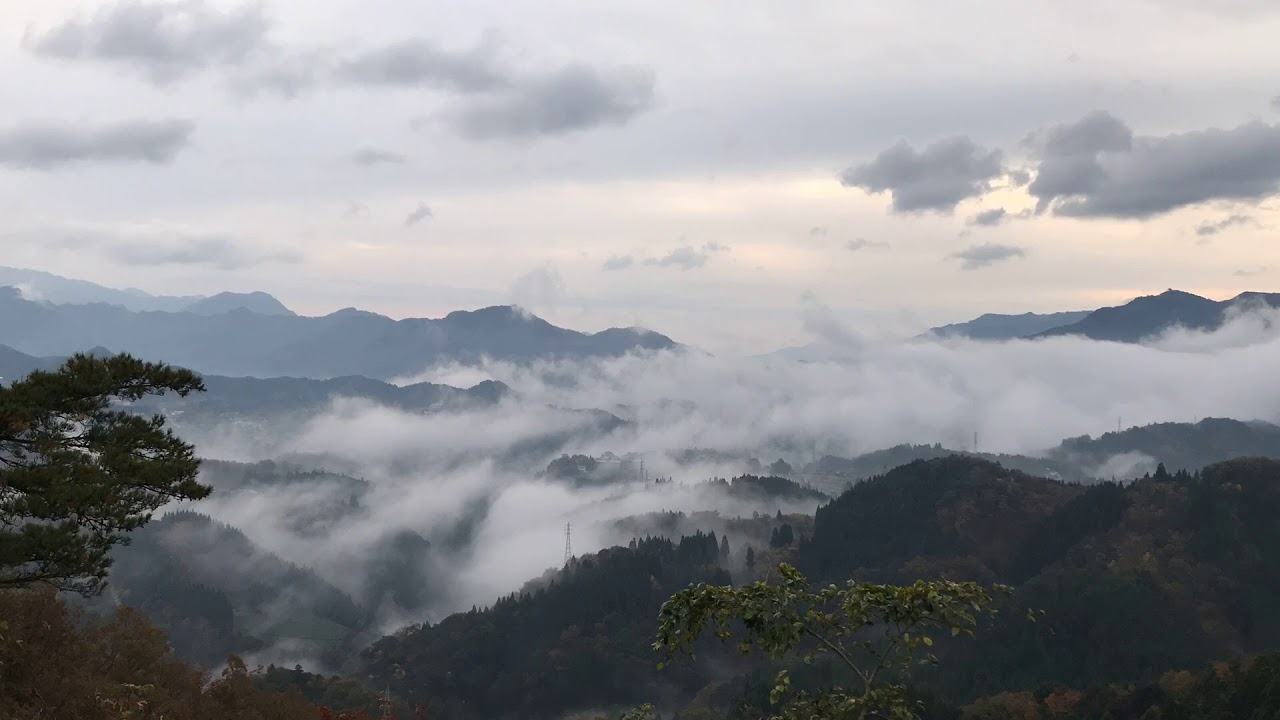 高千穗町國見之丘雲海