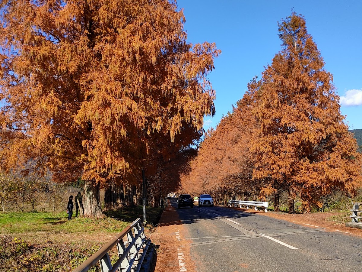 農業公園牧野Pic-land（農業公園マキノピックランド） 實景照片 5