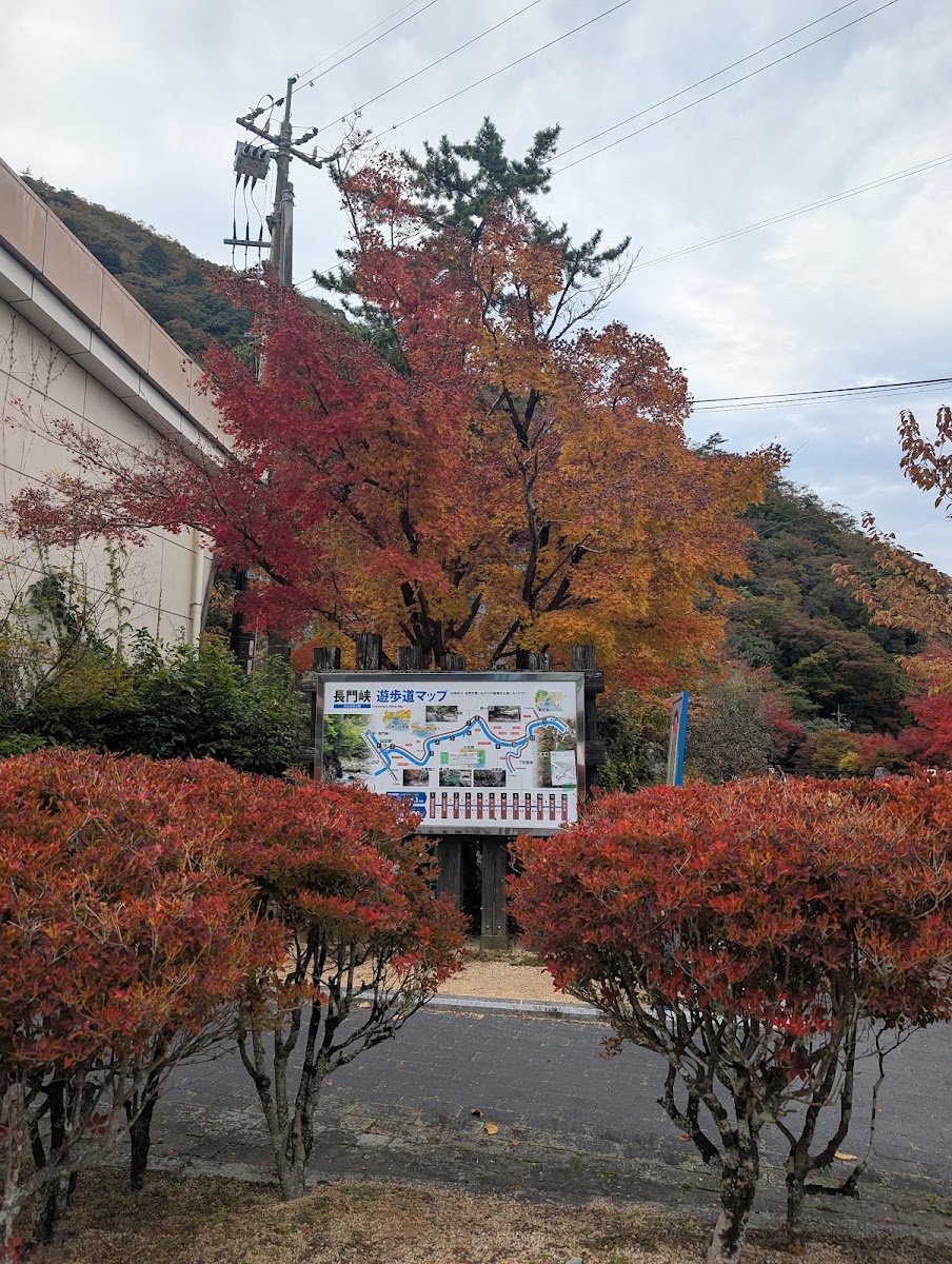 道之驛 長門峽(道の駅 長門峡) 實景照片 2
