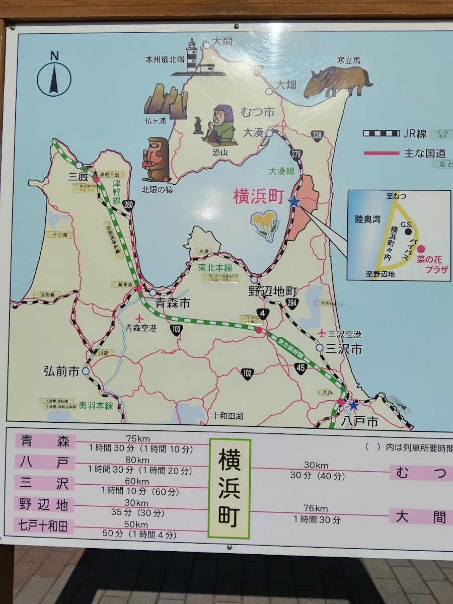 道之驛 橫濱(道の駅 よこはま) 實景照片 6