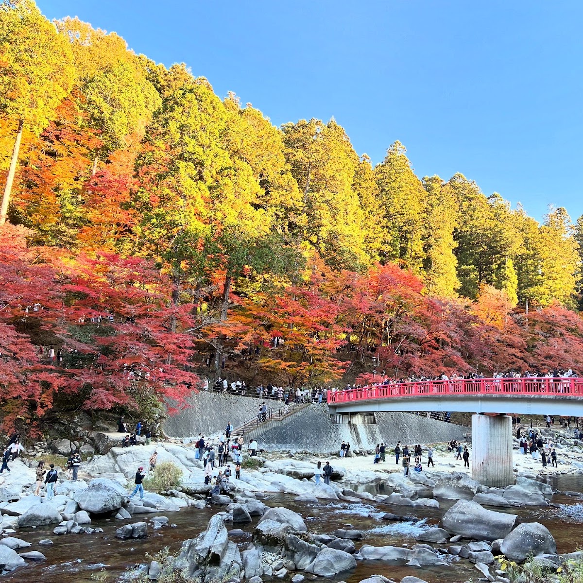 香嵐溪(香嵐渓) 實景照片 7