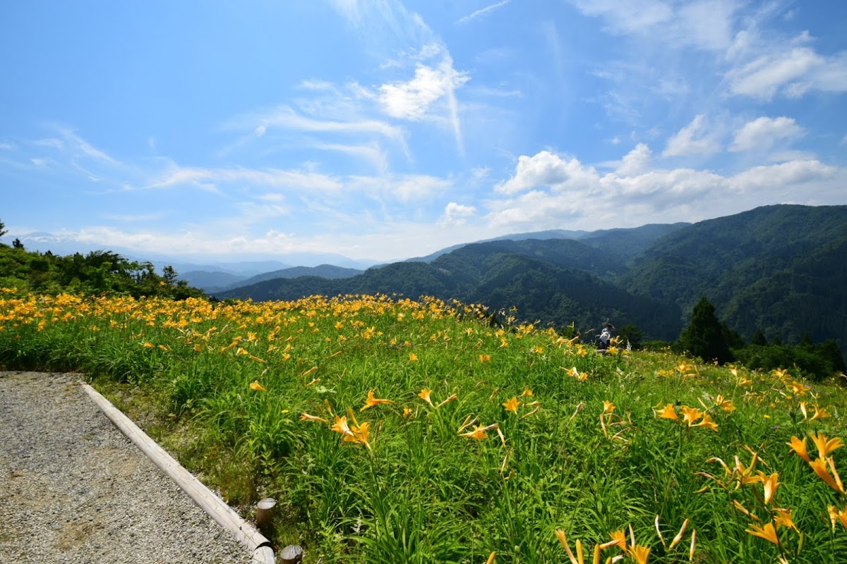 白山高山植物園